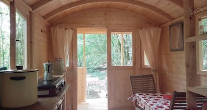 Shepherd's Hut Sleeps 2 with Bbq