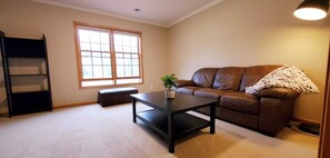 スマートテレビ、暖炉、テレビゲーム、書庫