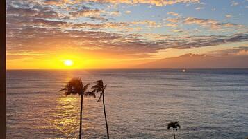 Vista desde la propiedad