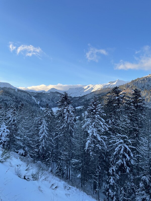 Miscellaneous - Chalet triplex 6B (Le Lioran)