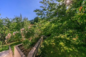 Stroll through a serene garden filled with a variety of plants and flowers, including roses, along a winding pathway.