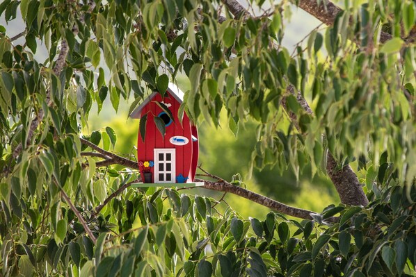Un comedero rojo para pájaros posado en una rama de árbol entre follaje verde.