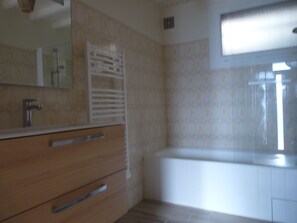 Bathtub, hair dryer, soap, toilet paper