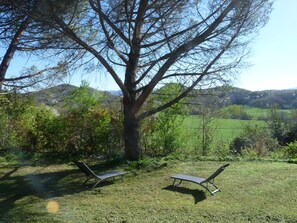 Un arbre, avec deux fauteuils vides placés dans un espace herbeux, offrant une vue sur des collines en arrière-plan.