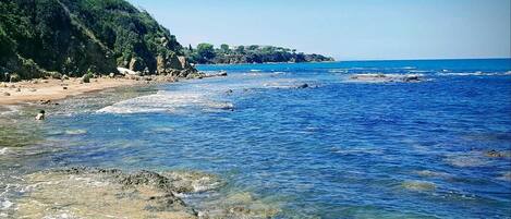 Lettini da mare