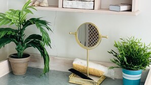 A bathroom vanity with a mirror, shelves with toiletries, and two potted plants.
