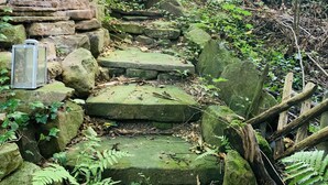 A stone staircase surrounded by greenery, leading up to a wooden structure.