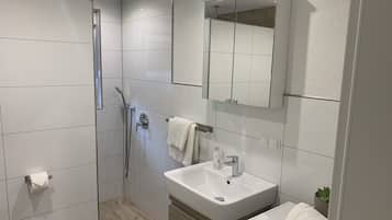 Dusche, Haartrockner, Handtücher, Seife