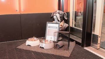 Servicios para mascotas