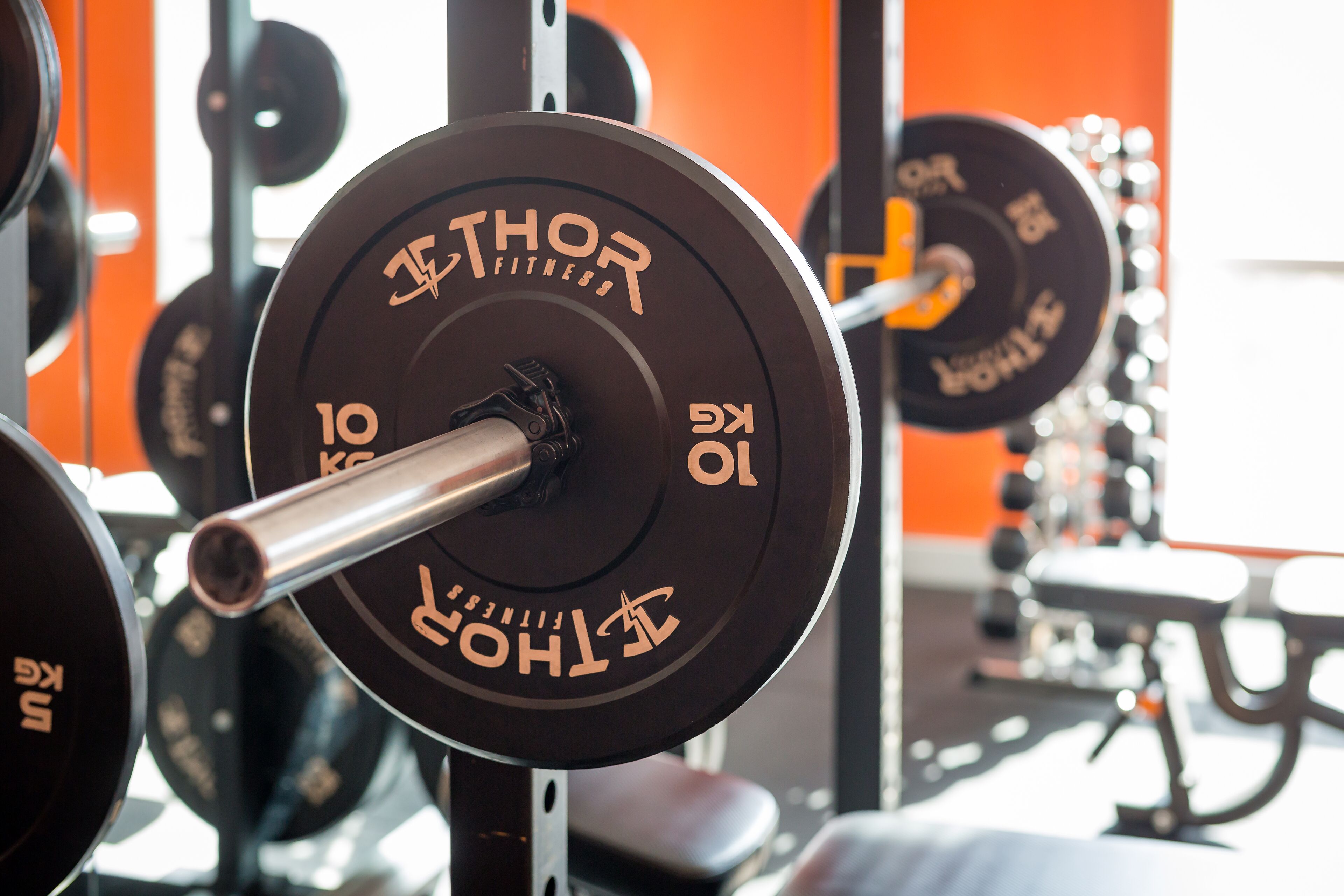 A weightlifting bench with a barbell and weight plates labeled "THOR FITNESS."