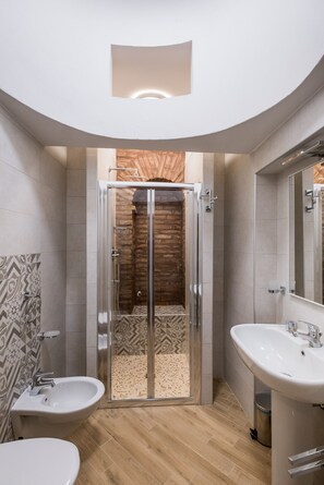 Shower, hair dryer, bidet, towels