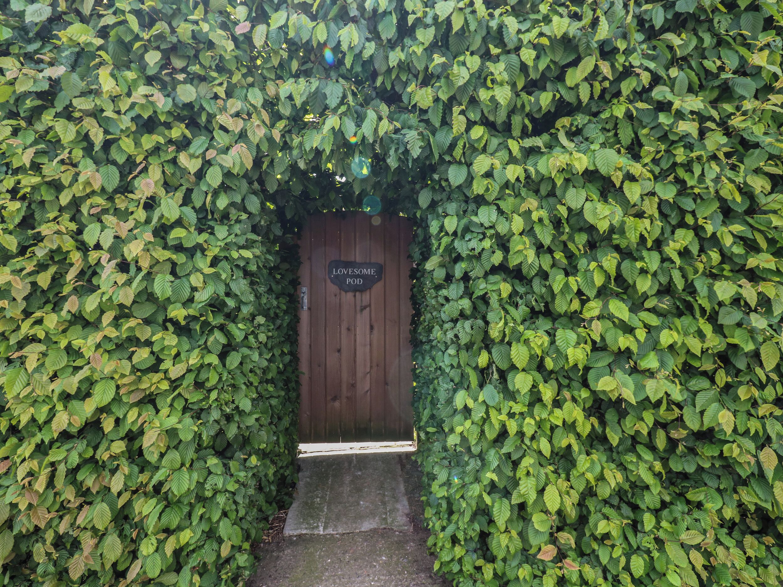 村舍 | 外观细节