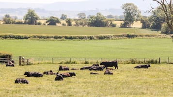 Cottage | Intérieur