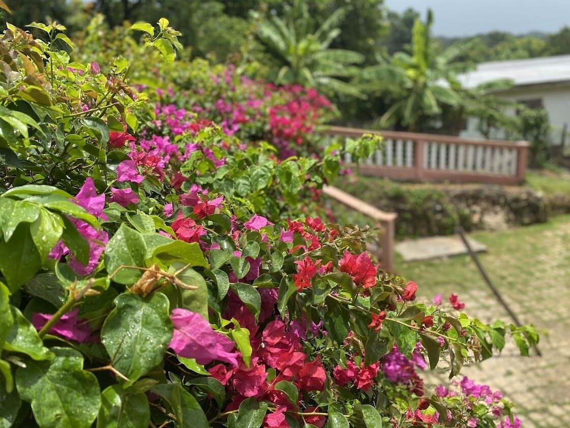 Villa, 4 Bedrooms | Property grounds