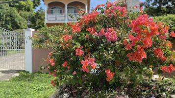 Villa, 4 chambres | Enceinte de lâhĂ©bergement