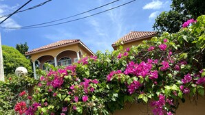 En bygning med et tagtækket tag og en væg dækket af kraftige lyserøde buganvillea blomster.