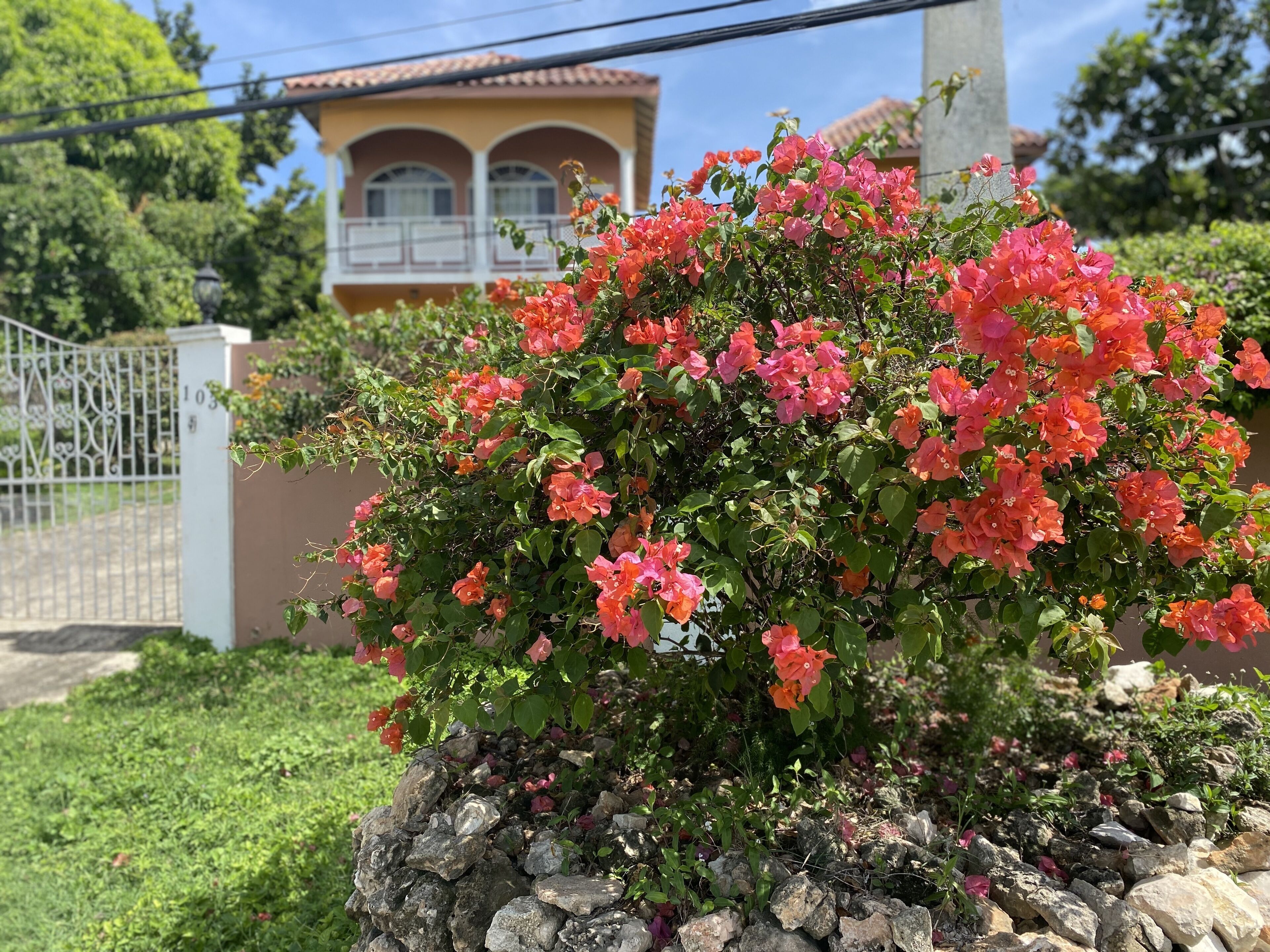 Un giardino con fiori rosa, un muro in pietra e una casa con un balcone sullo sfondo.