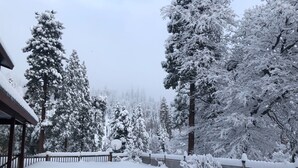 A snow-covered landscape with a wooden fence and snow-laden trees.