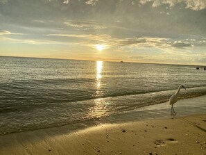 Beach - Single Family Home Minutes to the Beach  (Bonita Springs)