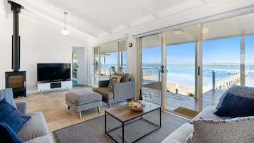 TV, fireplace, books