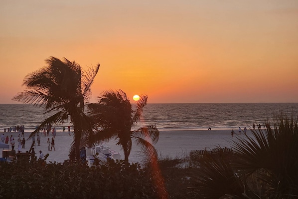 Escena de playa con palmeras, un atardecer y gente caminando por la orilla.