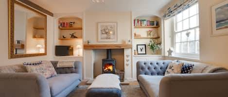 TV, fireplace, books