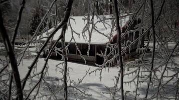 En snötäckt byggnad vars tak delvis skyms av kala trädgrenar.