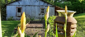 Whispering Waters Cabin on The Creek