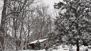 A snow-covered bench and a tree in a rural setting. - Whispering Waters Cabin by The Creek (Fairview)