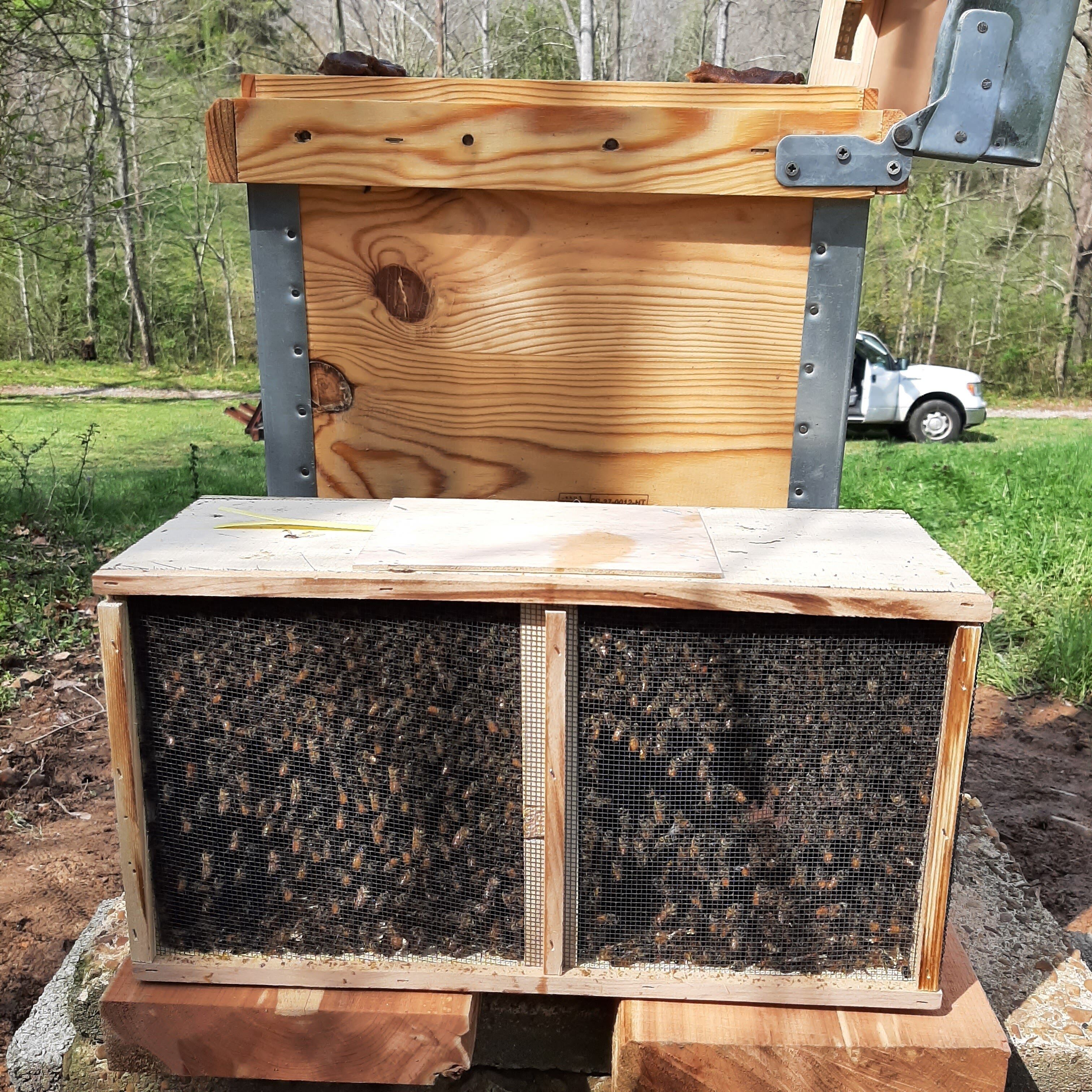 Une structure en bois avec des côtés en treillis métallique, qui pourrait être un cadre pour l’apiculture, située à l’extérieur, avec un véhicule en arrière-plan.