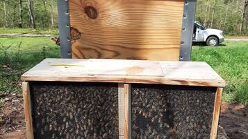 Une structure en bois avec des côtés en treillis métallique, qui pourrait être un cadre pour l’apiculture, située à l’extérieur, avec un véhicule en arrière-plan.