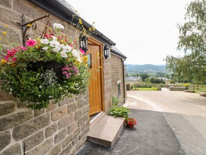 A stone building with a wooden door, a hanging flower basket, and a small potted plant on the ground.
