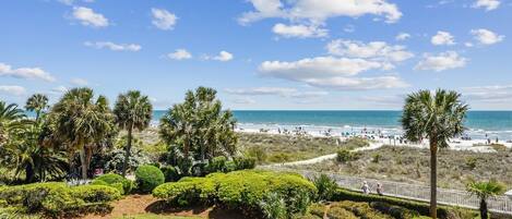 A landscaped garden with manicured bushes and palm trees, a pathway, and a view of the beach and ocean.