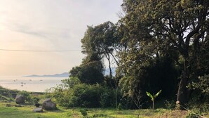 Un campo cubierto de hierba con un árbol y una planta pequeña.