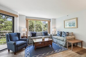 Flat-screen TV, DVD player, smart speakers