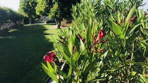 A garden with green grass and red flowers, trees, and a building in the background. - The house in the fields_Dépendance (Lombardia)