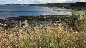 Un paysage côtier avec une plage, des zones herbeuses et un petit village qui se dessine à l’horizon.
