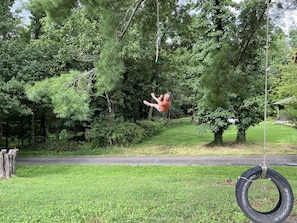 Relax in a serene natural setting with a charming rope swing suspended from a tree.
