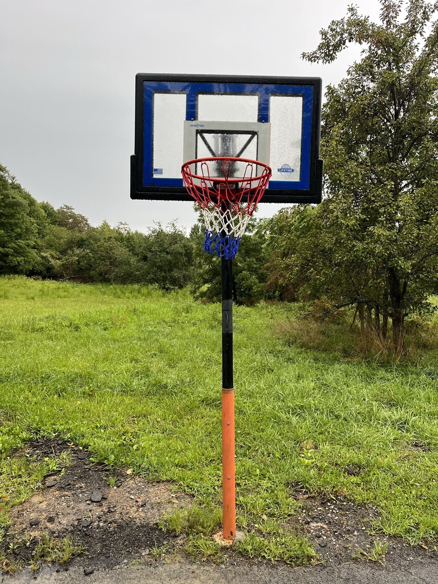 Un canestro da basket con tabellone blu e cerchio rosso, fissato a un palo arancione, situato in un prato con alberi sullo sfondo.