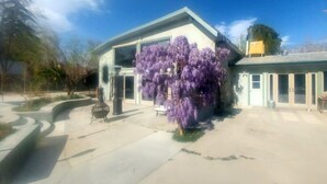 A building with a large purple flowering tree in front. - ***Million Dollar Views and Indoor Pool! (Lone Pine)
