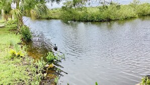 En stilla flod med en träbrygga och frodig grönska.