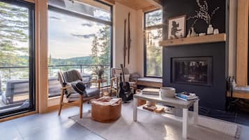 TV connectée, cheminée, livres