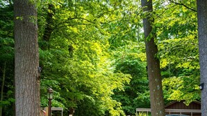 Terrein van de accommodatie