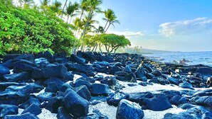 Ein felsiger Strand mit Palmen und blauem Himmel.