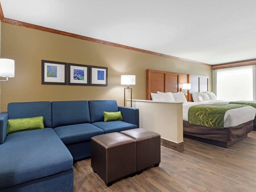 Habitación de hotel con un sofá azul, un pequeño reposapiés, una cama con ropa de cama verde y blanca y un cabecero de madera. Hay tres cuadros enmarcados en la pared y una lámpara de pie.