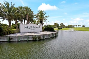 Property grounds - Coastal stay/steps to Driftwood Beach (Jekyll Island)