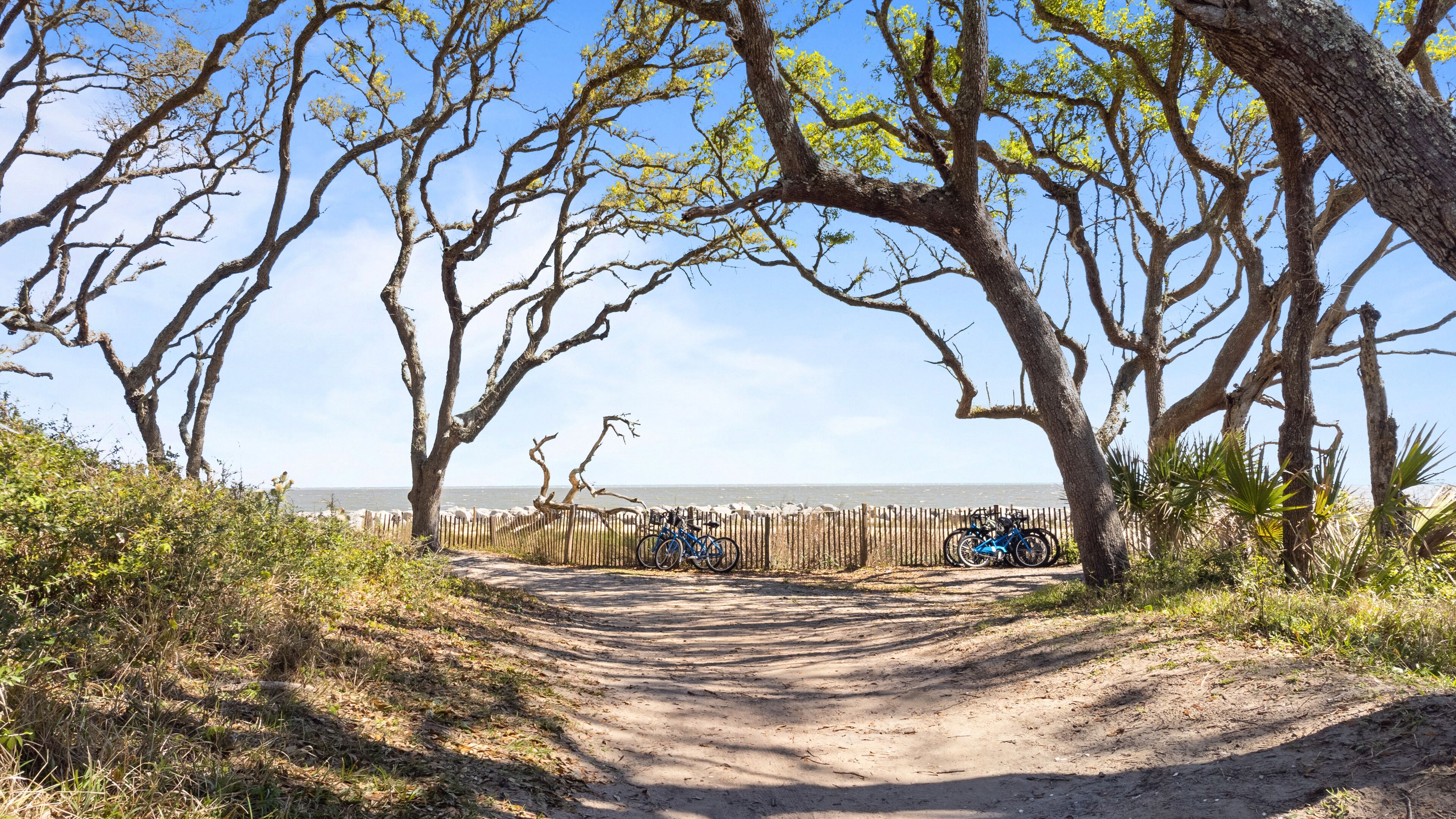 Un sentier de terre mène à une plage, où une clôture en bois a été installée et où des vélos sont garés le long de la clôture.
