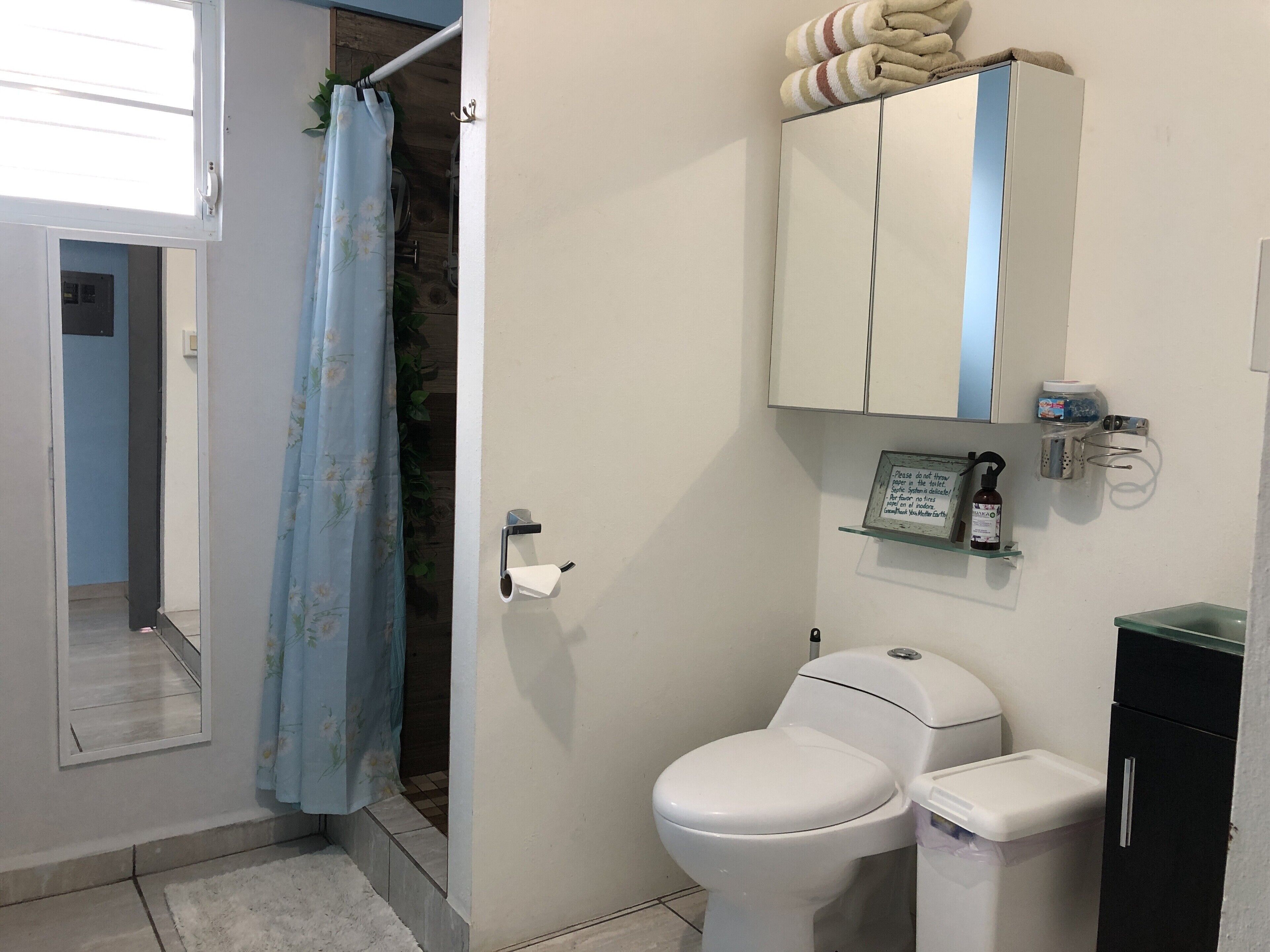 Ein Badezimmer mit Toilette, einem Schrank, einer Duschvorhang und einer kleinen Ablage für Pflegeprodukte.