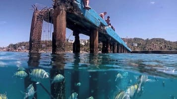 Punt d'interès