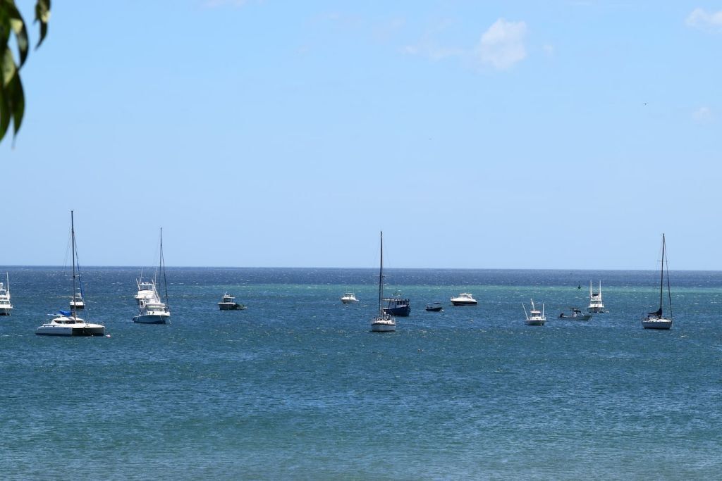 A marina with multiple sailboats anchored in calm waters.